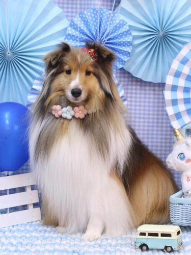 20231130ノアくん